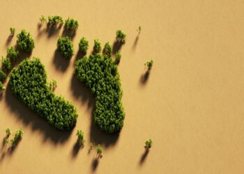 Karbon Ayak İzi Ne Anlama Geliyor? Sıfır Emisyon Nedir?